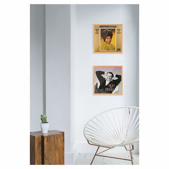 Dynavox Stand Βινυλίων ''Record Frame'' Light