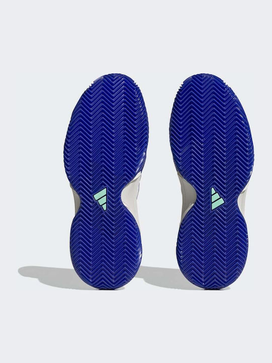 adidas Barricade Γυναικεία Παπούτσια Τένις για Χωμάτινα Γήπεδα Lucid Blue / Violet Fusion / Pulse Mint