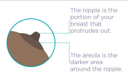 Lansinoh Breast Shield for Breast Pump 28mm