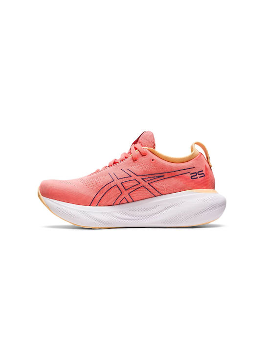 Gel-Nimbus 25 Damen Sportschuhe Laufen Papaya / Dusty Purple