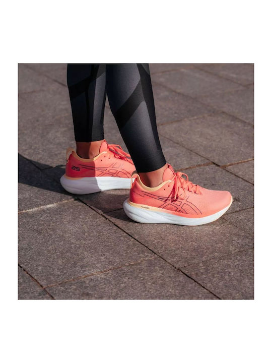 Gel-Nimbus 25 Damen Sportschuhe Laufen Papaya / Dusty Purple