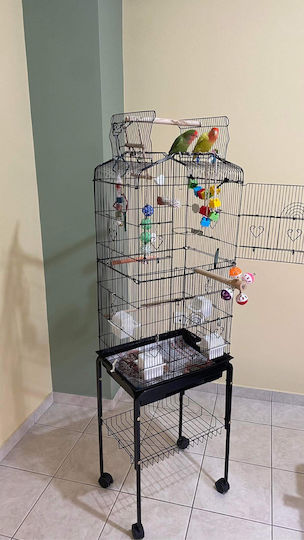 King Kong Cages Bird Cage 46x35x162cm