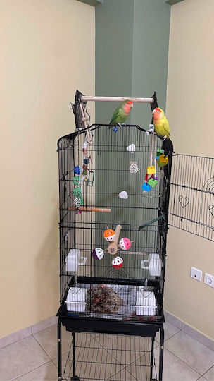 King Kong Cages Bird Cage 46x35x162cm