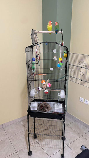 King Kong Cages Bird Cage 46x35x162cm