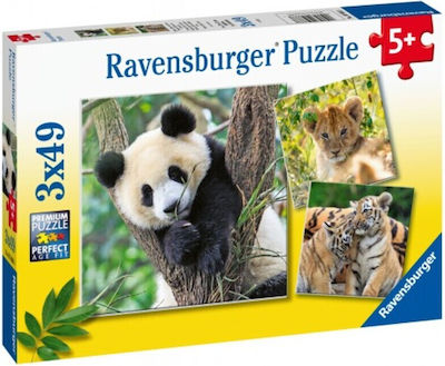 Puzzle pentru Copii Panda, Tiger and Lion Children's pentru 5++ Ani 147buc Ravensburger