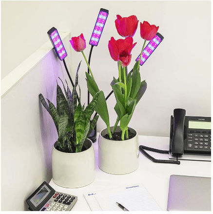 Επιτραπέζιο Grow Light με 72 LED