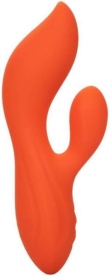 Calexotics Stella Dual Teaser Δονητής Rabbit Orange