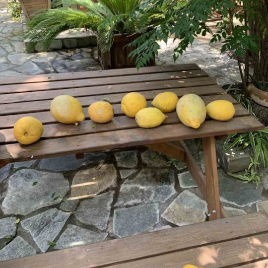 Ξύλινο Τραπέζι Εξωτερικού Χώρου 150x70x70εκ.