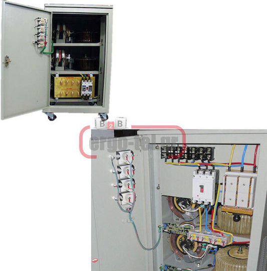 TNS-6 KV CNKV Stabilizator de Tensiune Servo 6000VA