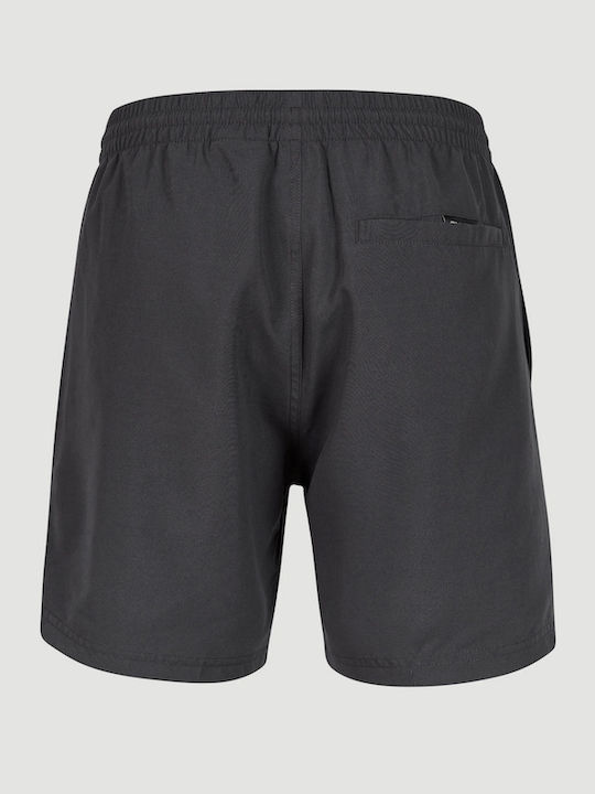 Men's Swimwear Shorts Gray