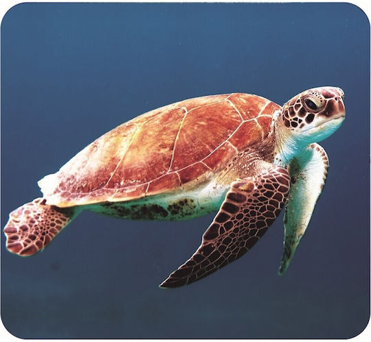 Moses Story Projector - Sea Animals Geschichtenprojektor für 3+ Jahre alt Jahre