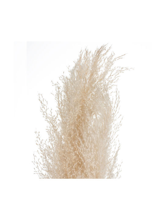 Spitishop Artificial Decorative Branch Pampas Grass 110cm 3pcs