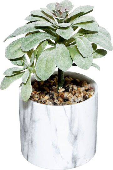 Artificial Potted Plant in Yala