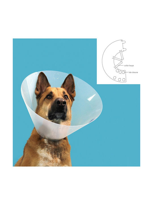 Dog Collar Cone Collars In Transparent Colour 33 - 41cm