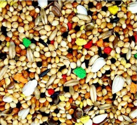 Royal Vogelfutter Budgie Extra No32 Birds Food for Budgerigars 20kg