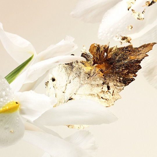 Bvlgari Splendida Patchouli Tentation Парфюмна вода 100мл