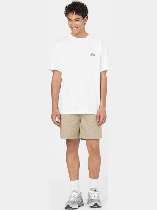 Dickies Dickies