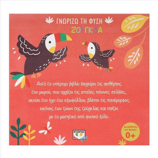 Ζούγκλα, Cunoașterea naturii, Panino Book