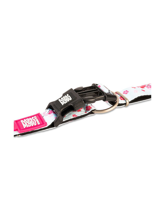 Max & Molly Cherry Bloom Dog Collar in Turquoise color Medium 20mm x 34 - 55cm