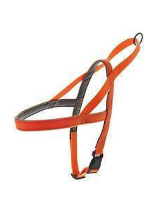 Ferribiella Обучение Fun Flat Оранжев Small 15mm x 49-67cm