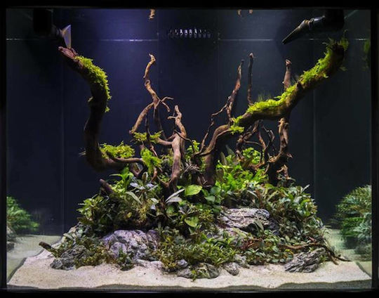HS Aqua Spider Wood Декоративен за Аквариум