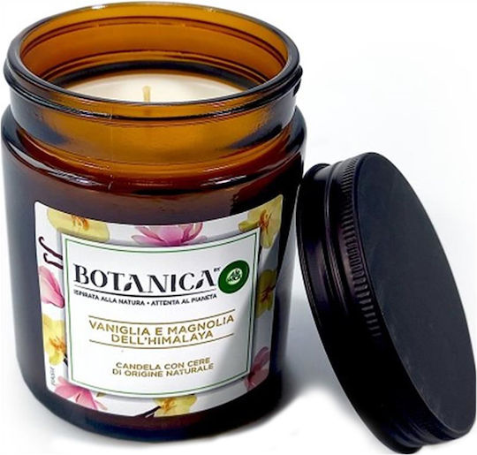 Airwick Botanica Αρωματικό σε Βάζο Βανίλια & Μανόλια Ιμαλαϊων Airwick Botanica Αρωματικό σε Βάζο Βανίλια & Μανόλια Ιμαλαϊων