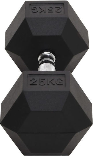 vidaXL Hexagon Dumbbell 1 x 25kg