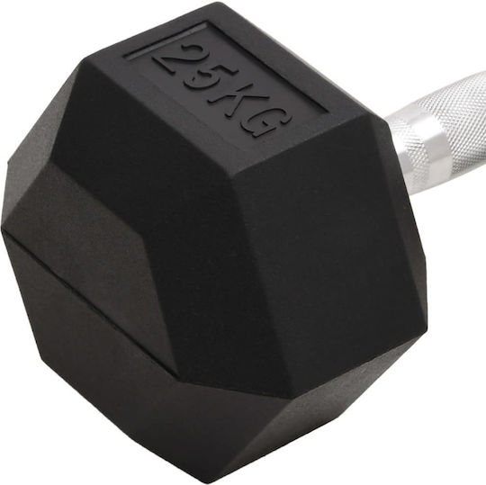 vidaXL Hexagon Dumbbell 1 x 25kg