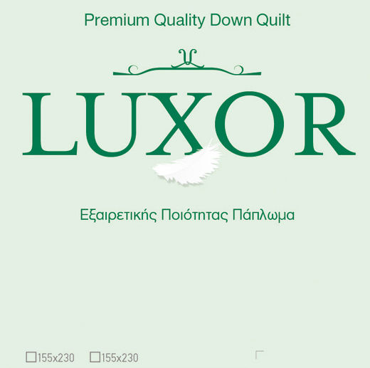 Vesta Home Duvet Queen Down 220x230cm Luxor Light White 10.5 togs Togs