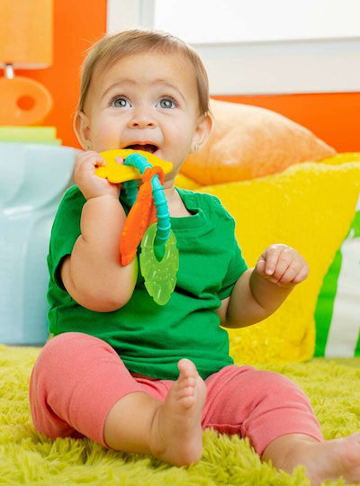 Bright Starts Tropical Zornăitoare de dentiție Fără BPA din plastic pentru 3 m+