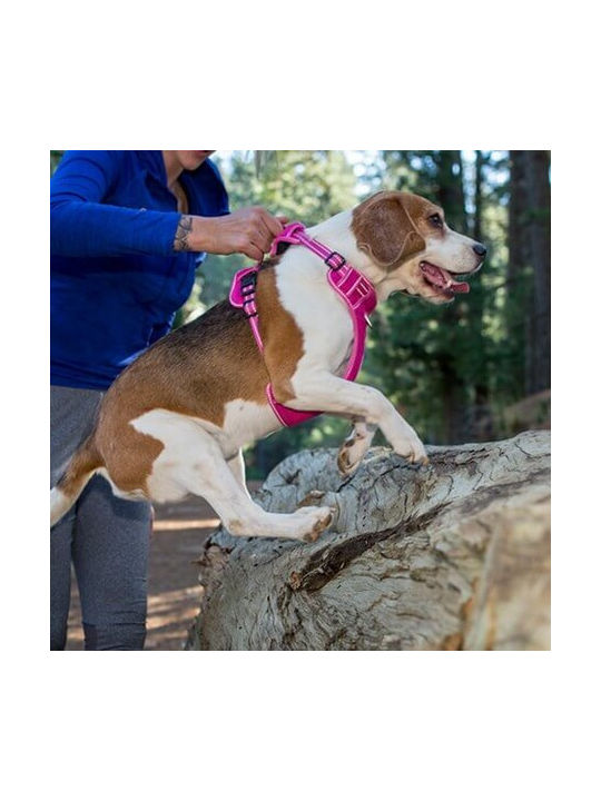 Rogz Dog Harness Vest Explore Pink Small 16mm x 37-48cm RGSJX14K