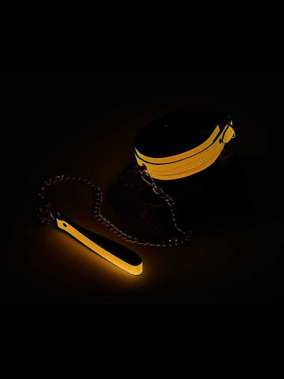 Dream Toys Radiant Glow In The Dark Collar Collar & Leash Orange