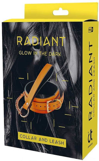 Dream Toys Radiant Glow In The Dark Collar Collar & Leash Orange