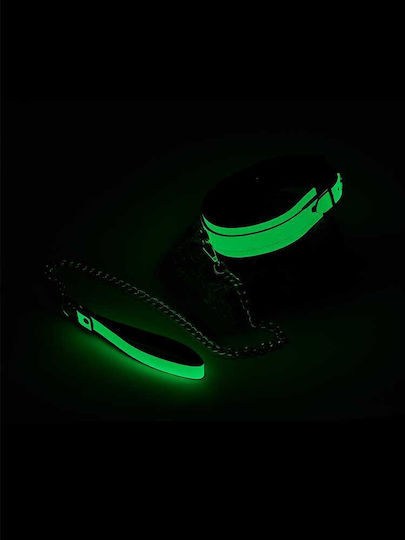 Dream Toys Radiant Glow In The Dark Collar Collar & Leash Green