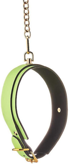 Dream Toys Radiant Glow In The Dark Collar Collar & Leash Green