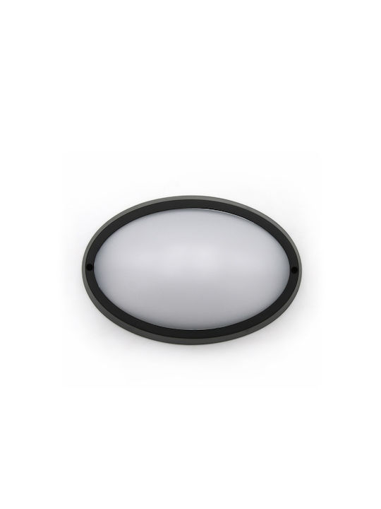 Adeleq Waterproof Wall-Mounted Outdoor Ceiling Light IP65 with Integrated LED Black