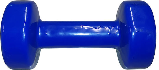 Αθλοπαιδιά Βαράκι Βινυλίου 1 x 5kg