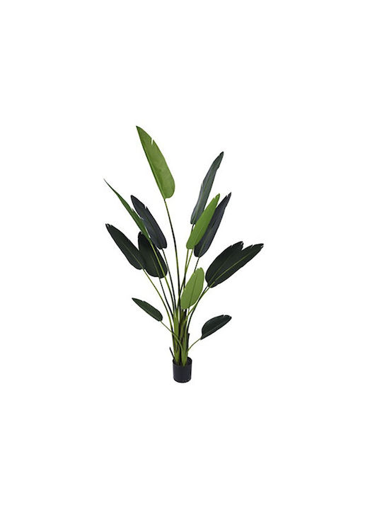 Iliadis Artificial Plant in Pot Green 235cm 1pcs