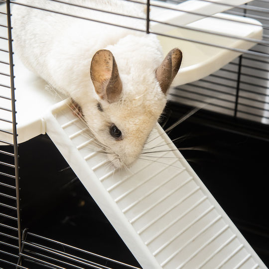Pawhut Pawhut Rodents Cage Indian Hamster Cage 80x48x58cm