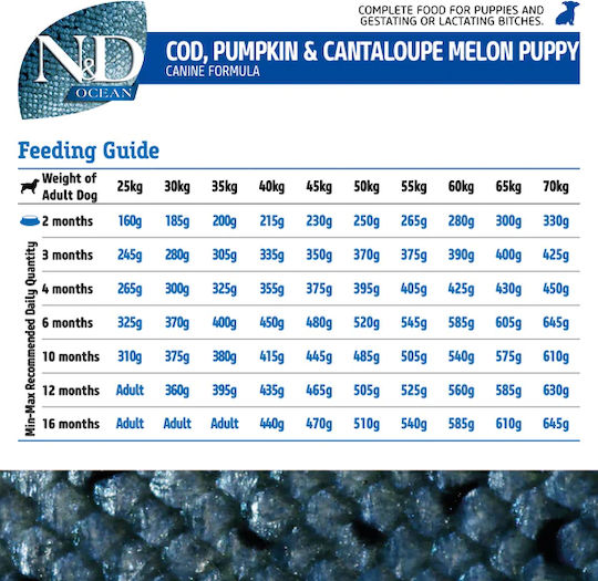 Farmina N&D Ocean Puppy Medium & Maxi 2.5kg Dry Food Grain-Free for Medium & Large Breed Puppies with Pumpkin and Fish