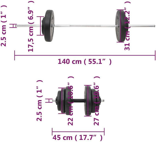 vidaXL Αλτήρες Σετ με Μπάρα Συνολικού Βάρους 60kg