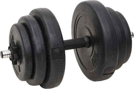 vidaXL Αλτήρες Σετ με Μπάρα Συνολικού Βάρους 60kg