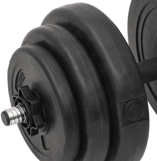 vidaXL Αλτήρες Σετ με Μπάρα Συνολικού Βάρους 60kg