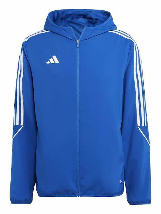 adidas adidas