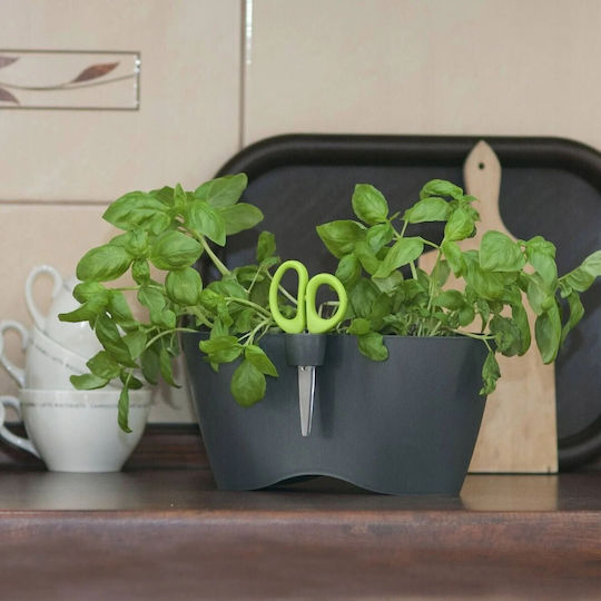 Marhome Limes Dublo Pot Plastic Graphite 25x12x12cm.