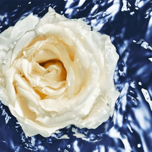 Davidoff Cool Water Oceanic Edition Eau de Toilette 100ml