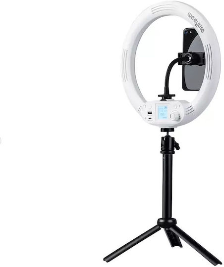 Weeylite Weeylite WE-9 RGB Ring Light 29cm 2500 - 8500K With Desktop Tripod