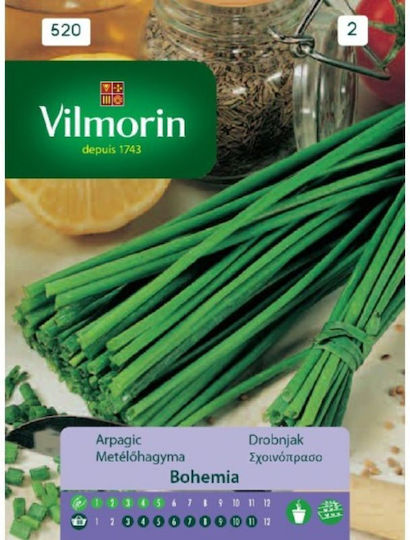 Vilmorin Seeds Chives 9gr