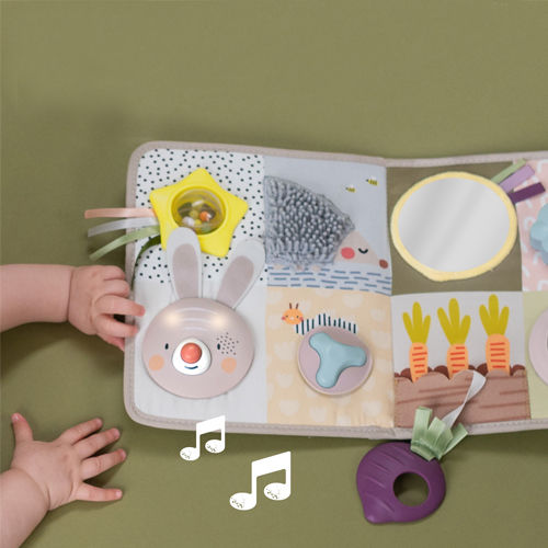 Taf Toys Hanging Car Toy with Music Teether and Mirror for Newborns