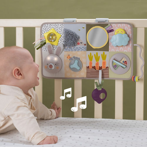 Taf Toys Hanging Car Toy with Music Teether and Mirror for Newborns
